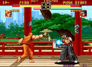 Art of Fighting